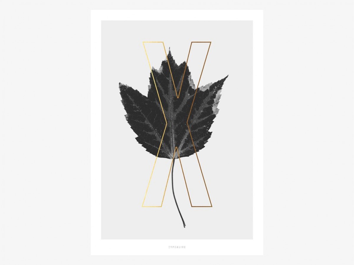 typealive / ABC Plants - X