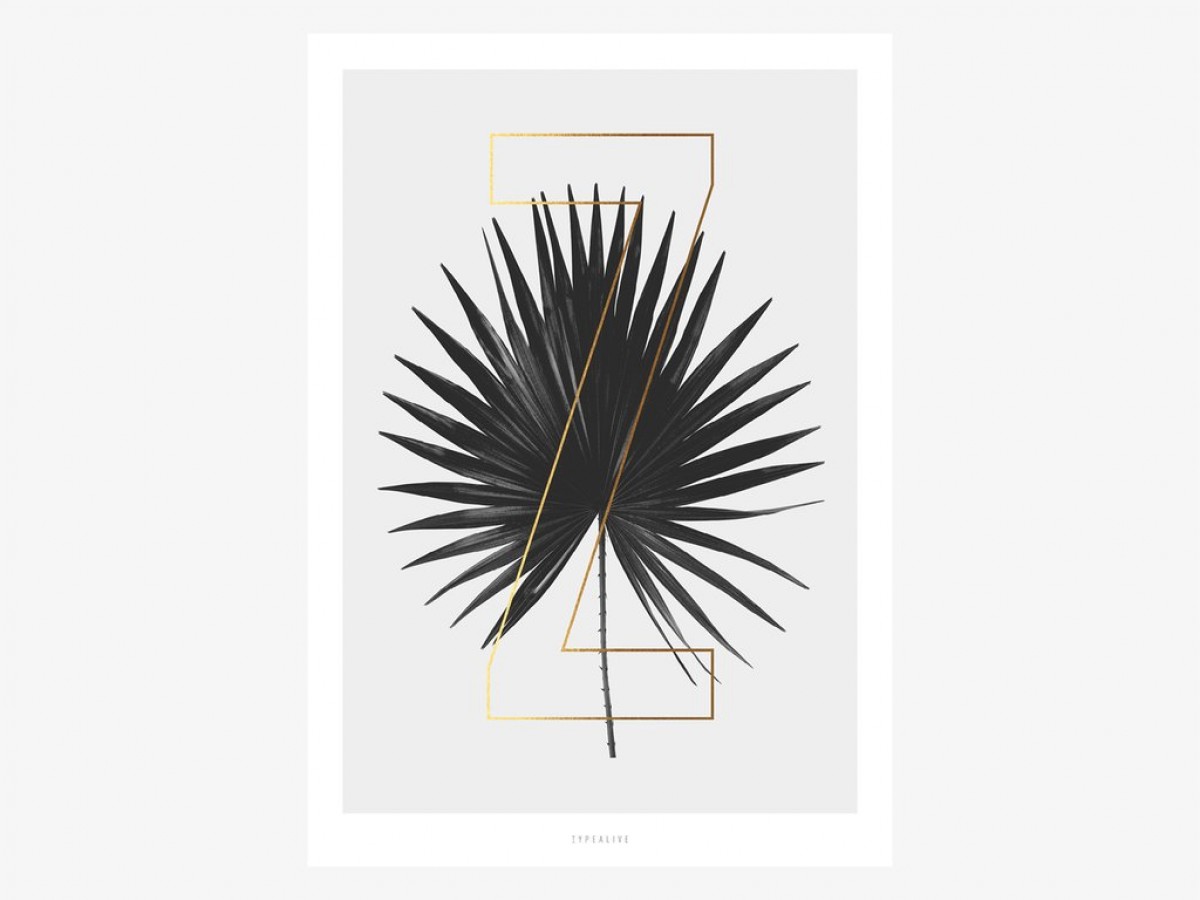 typealive / ABC Plants - Z