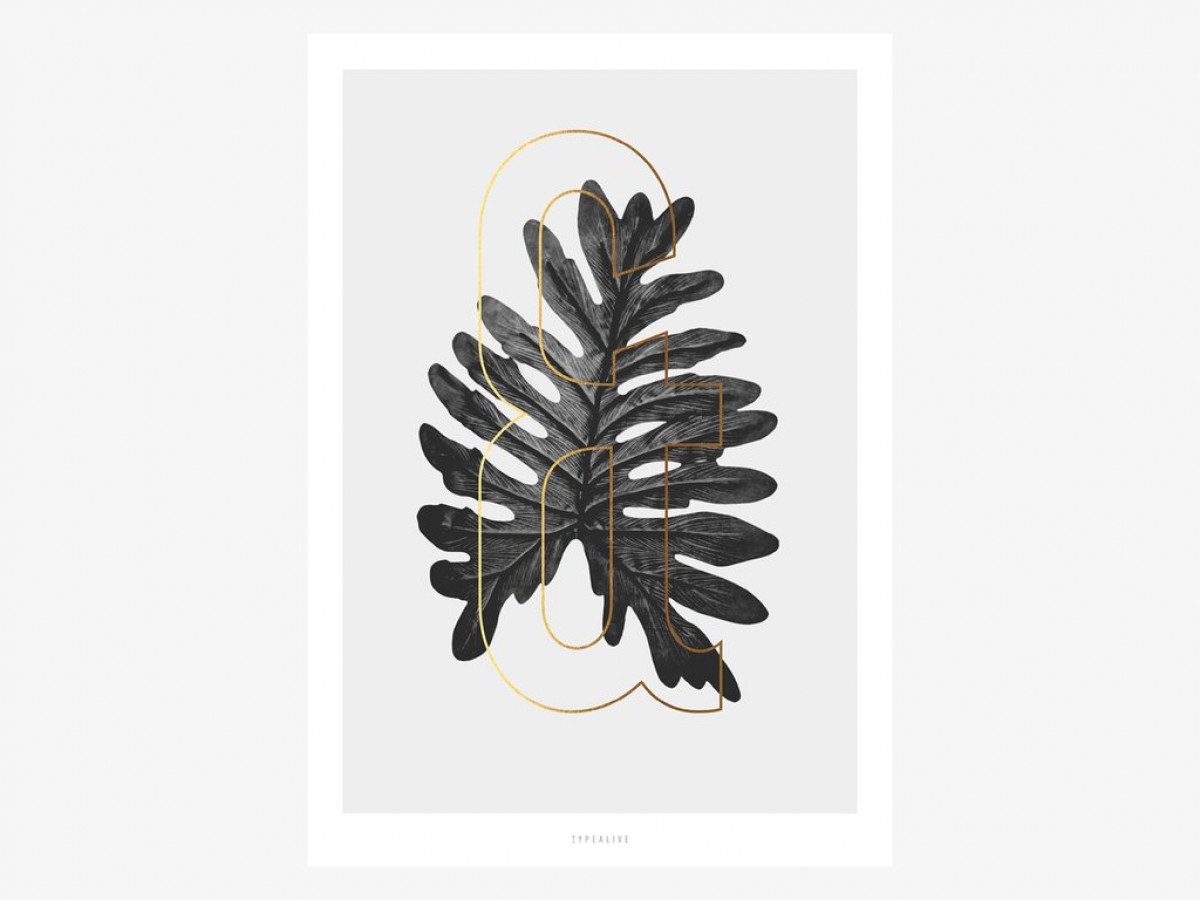 typealive / ABC Plants - &