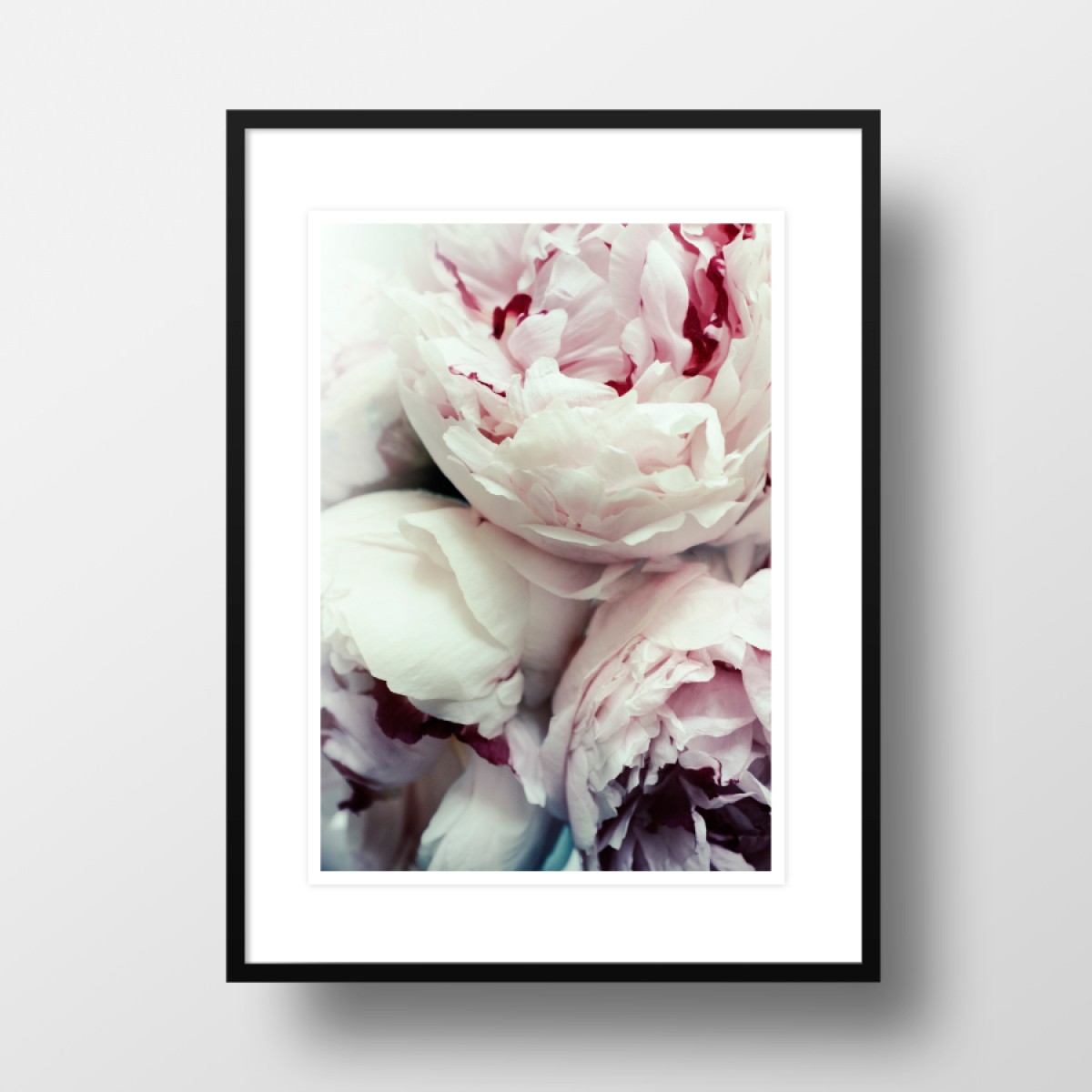 Amy & Kurt Berlin A4 Artprint "Pfingstrosen"