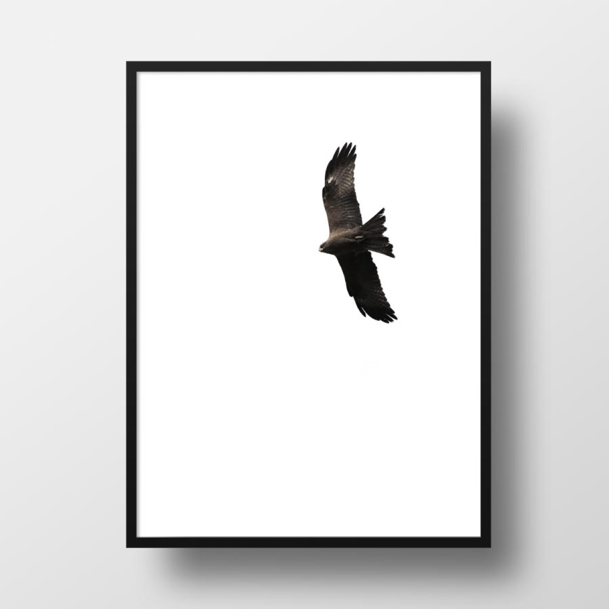 Amy & Kurt Berlin A4 Artprint "Bussard"