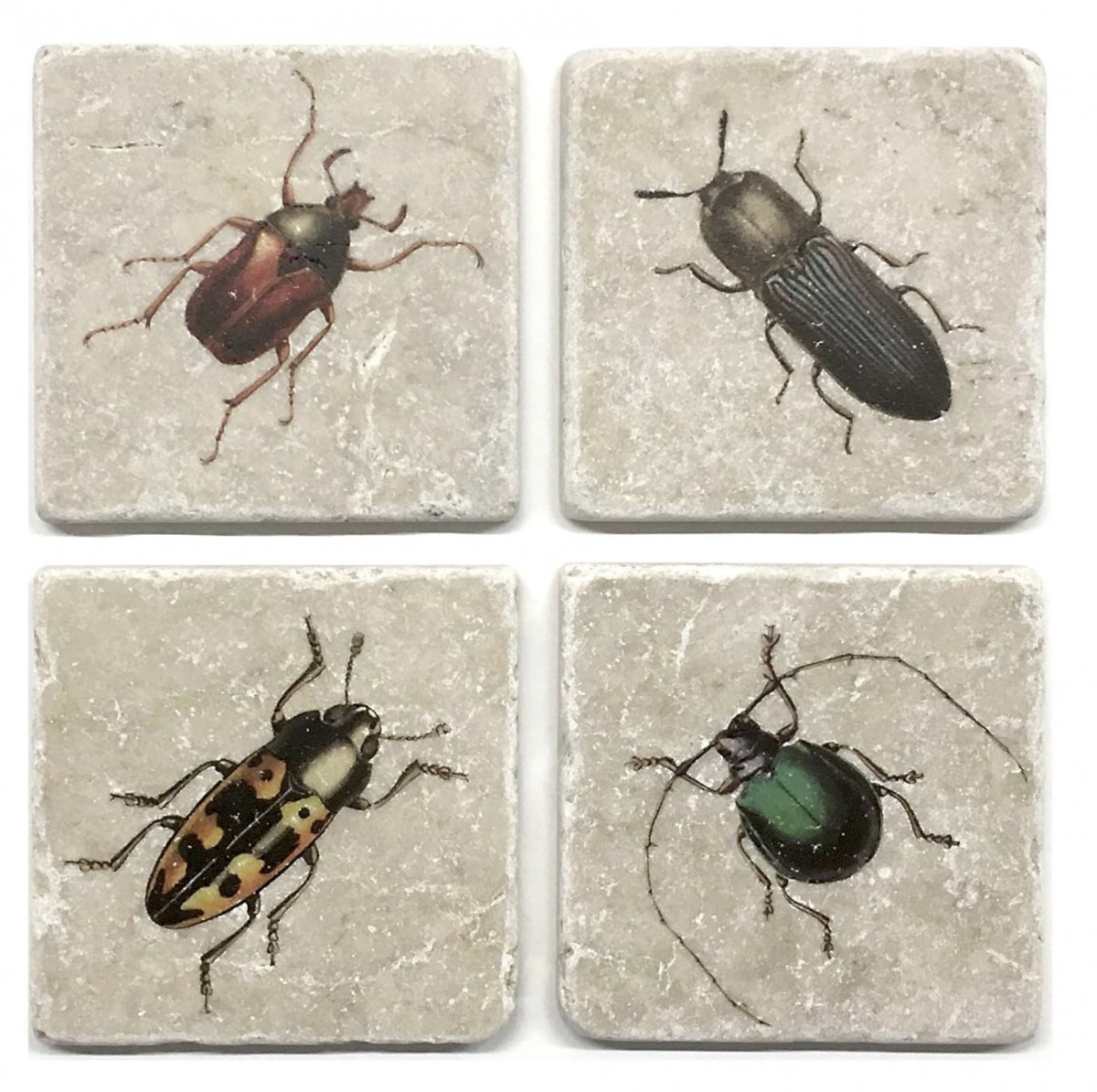 Westpaket Marmoruntersetzer Käfer
