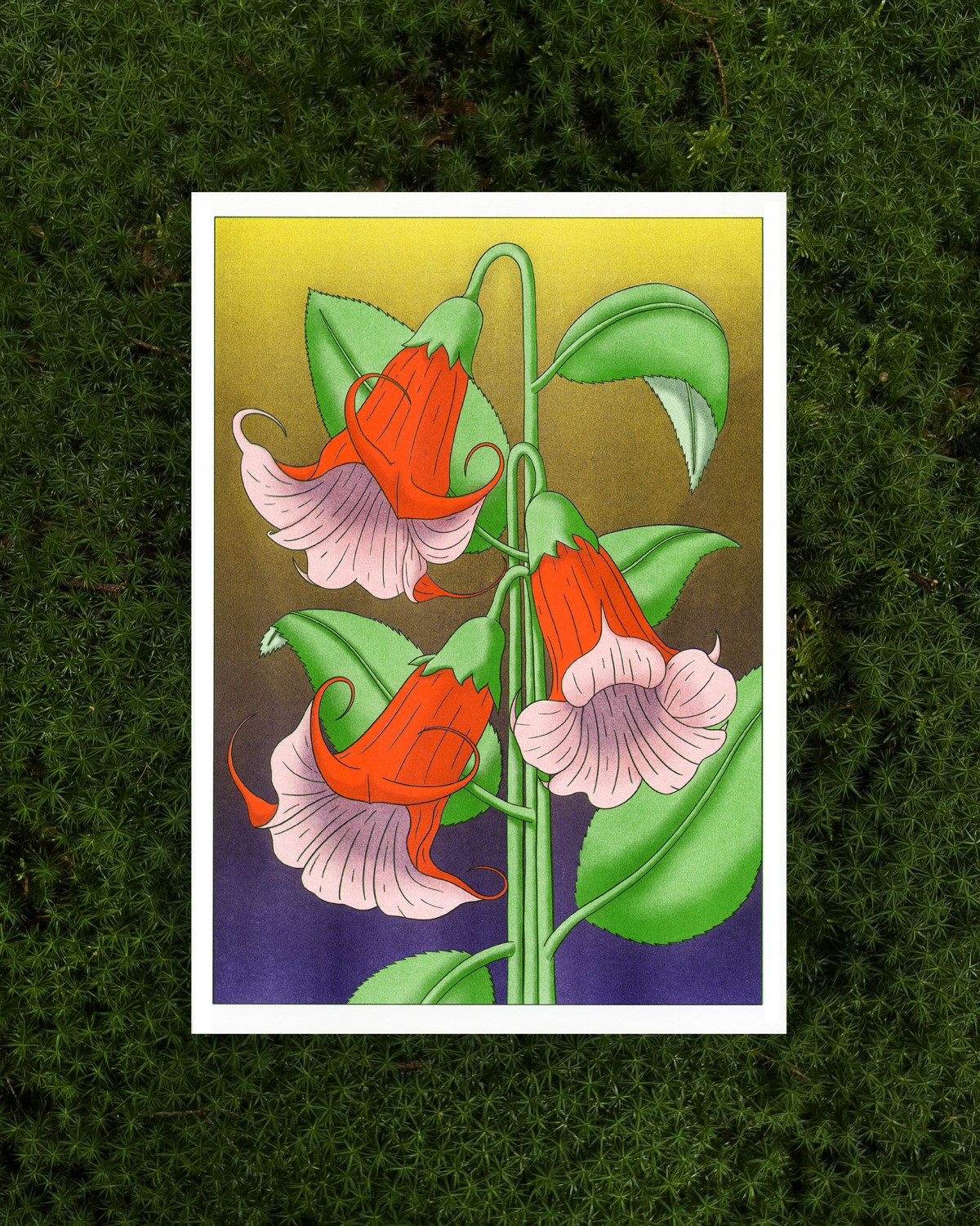 The Naughty District - handgefertigter Risographie Print »Brugmansia«