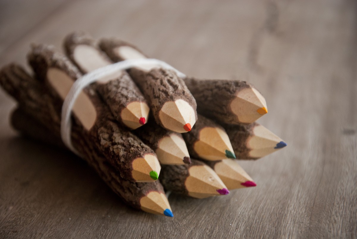 Buntstifte-Set aus Ästen, handgearbeitet BY COPALA 