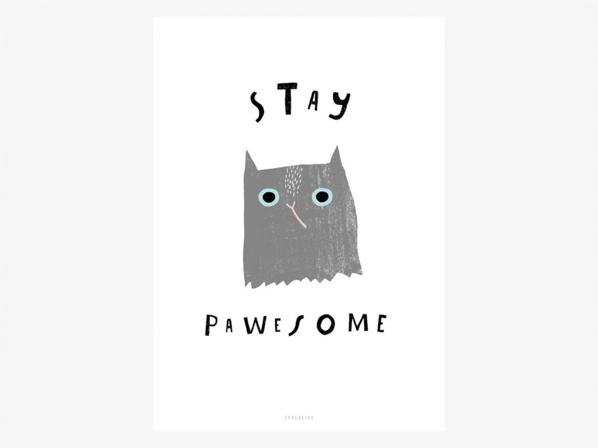 typealive / Catisfaction No. 11