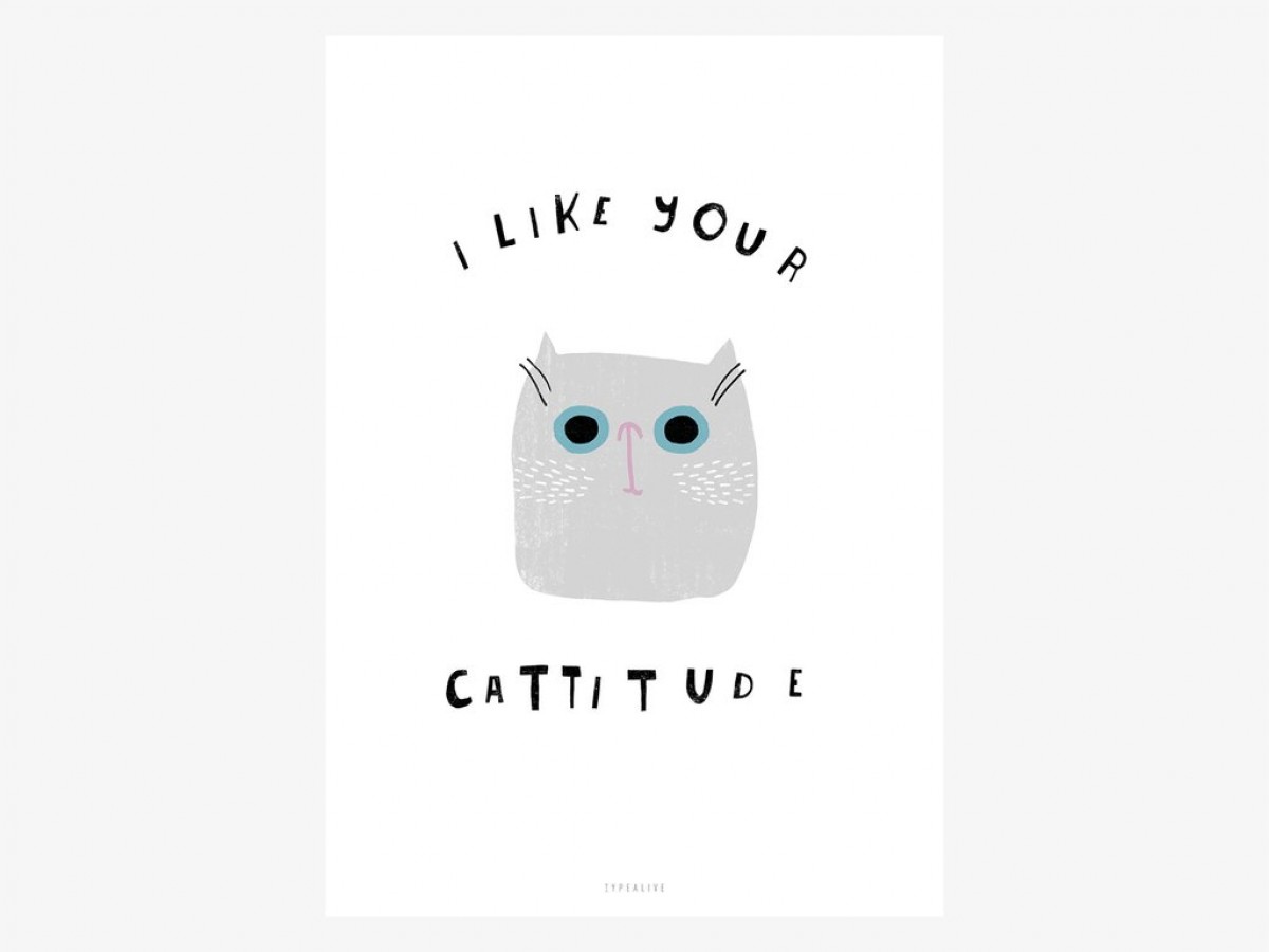 typealive / Catisfaction No. 6