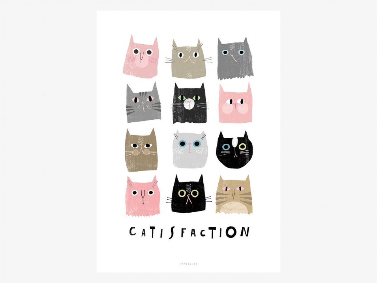 typealive / Catisfaction No. 1