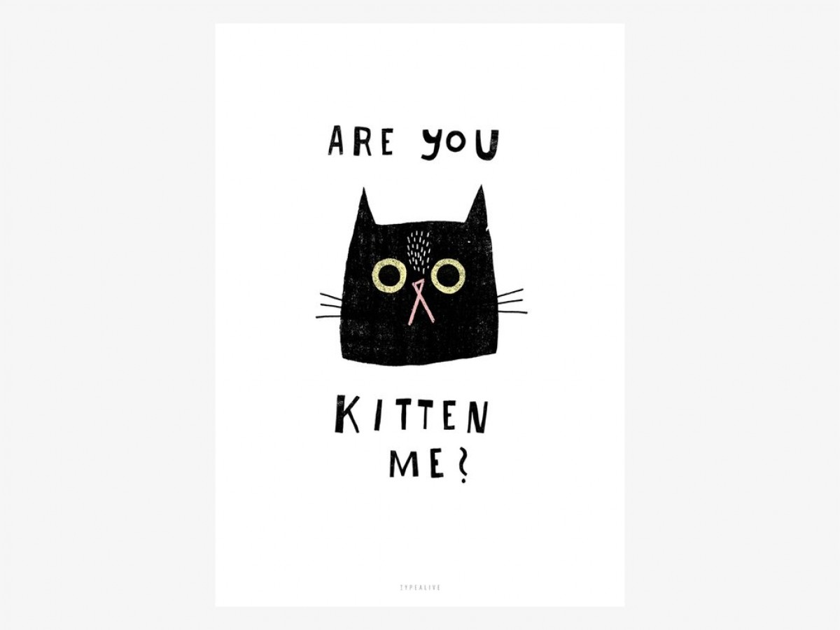 typealive / Catisfaction No. 2