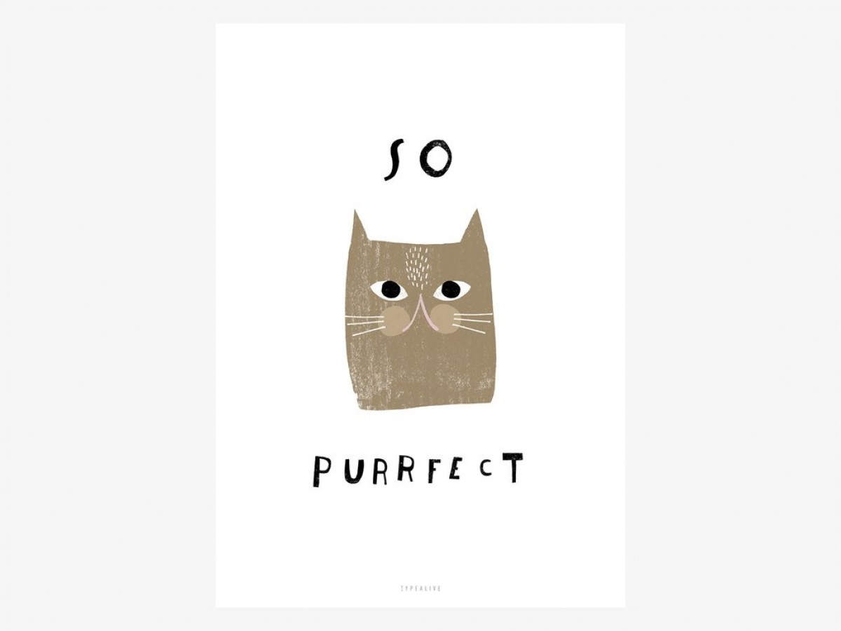 typealive / Catisfaction No. 5