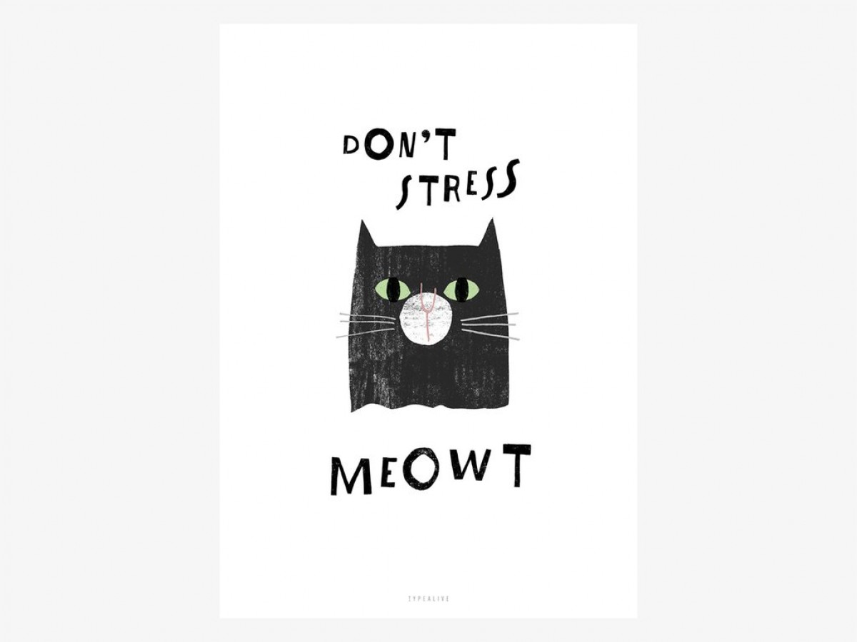 typealive / Catisfaction No. 7