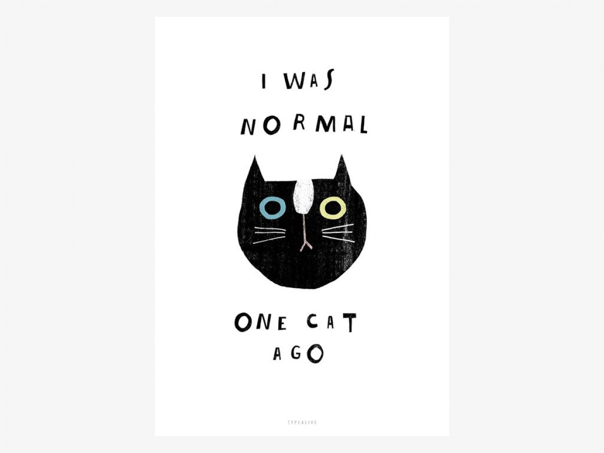 typealive / Catisfaction No. 9