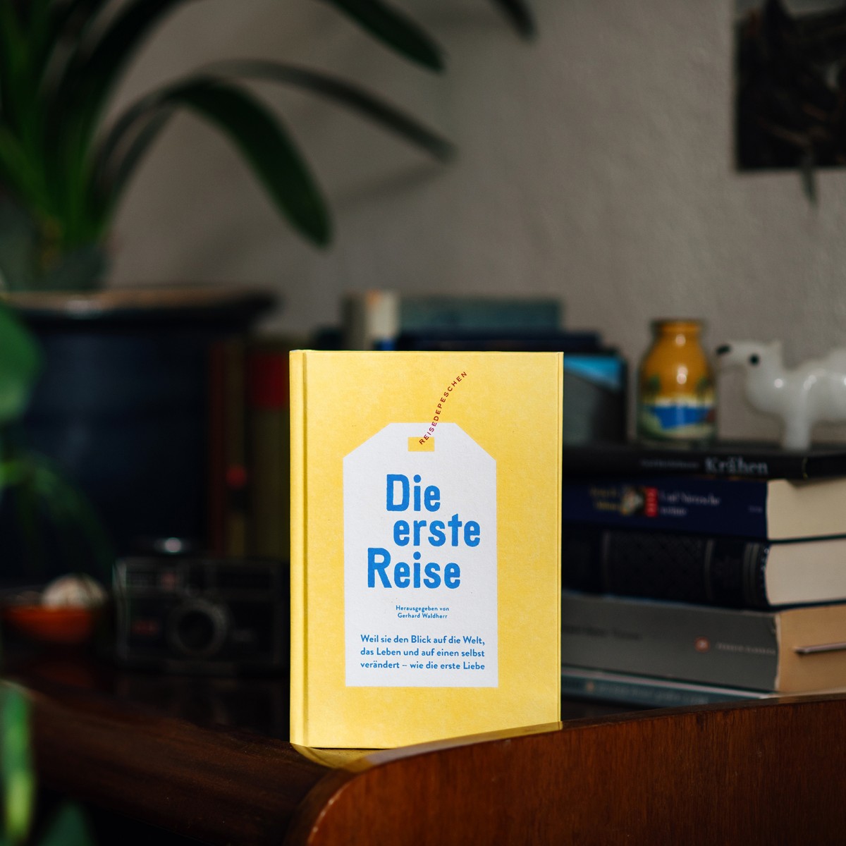 Die erste Reise. Weil sie den Blick auf die Welt, das Leben und auf einen selbst verändert – wie die erste Liebe
