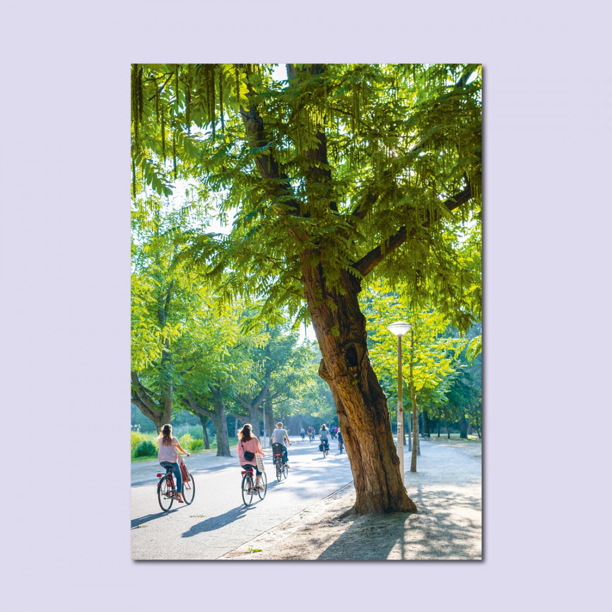 'Fietsen Amsterdam' limitierter Fotodruck auf Naturpapier, DIN A2, klimaneutral gedruckt / Ankerwechsel Verlag