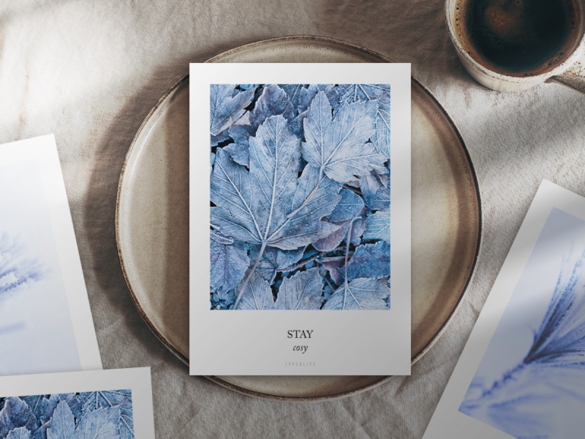 typealive / Weihnachtskarten 4er Set / Frozen Plants