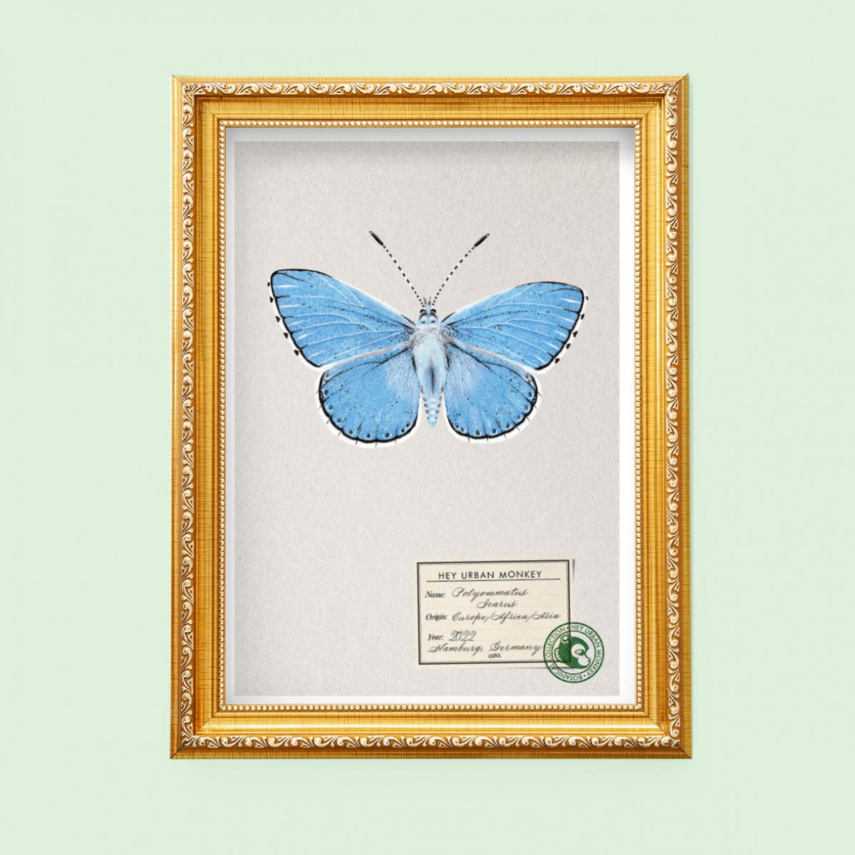 Hey Urban Monkey -A4 Poster -„Polyommatus Icarus“