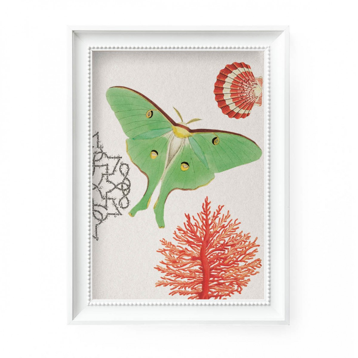 Hey Urban Monkey - A4 Poster - „Luna Moth - Coral“
