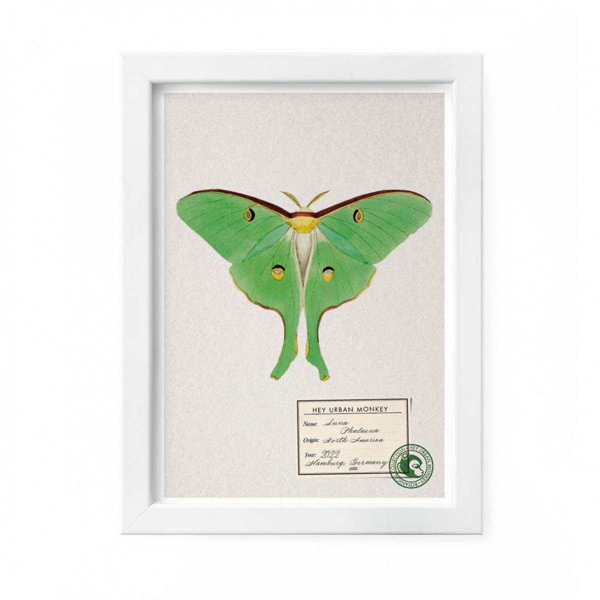 Hey Urban Monkey -A4 Poster -„Luna Phalaena“