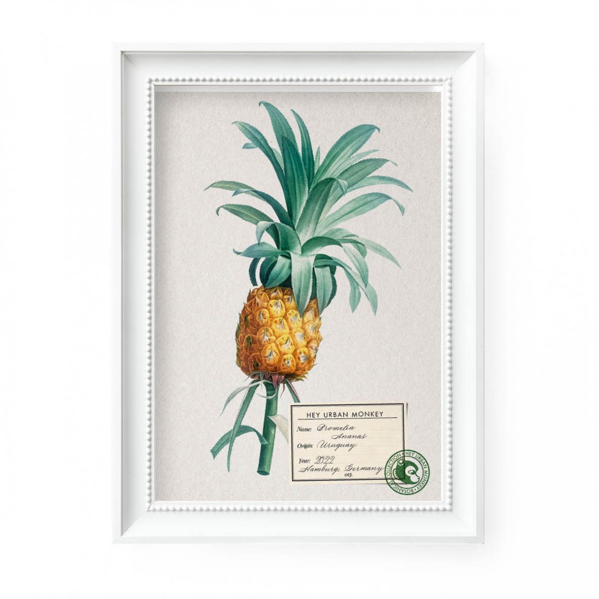 Hey Urban Monkey - A4 Poster - „Bromelia Ananas“