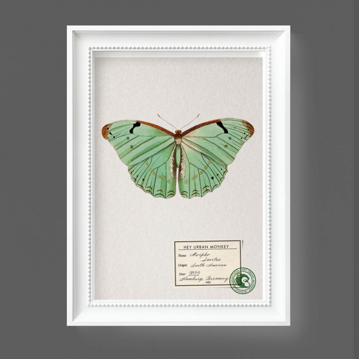 Hey Urban Monkey -A4 Poster -„Morpho Laertes“