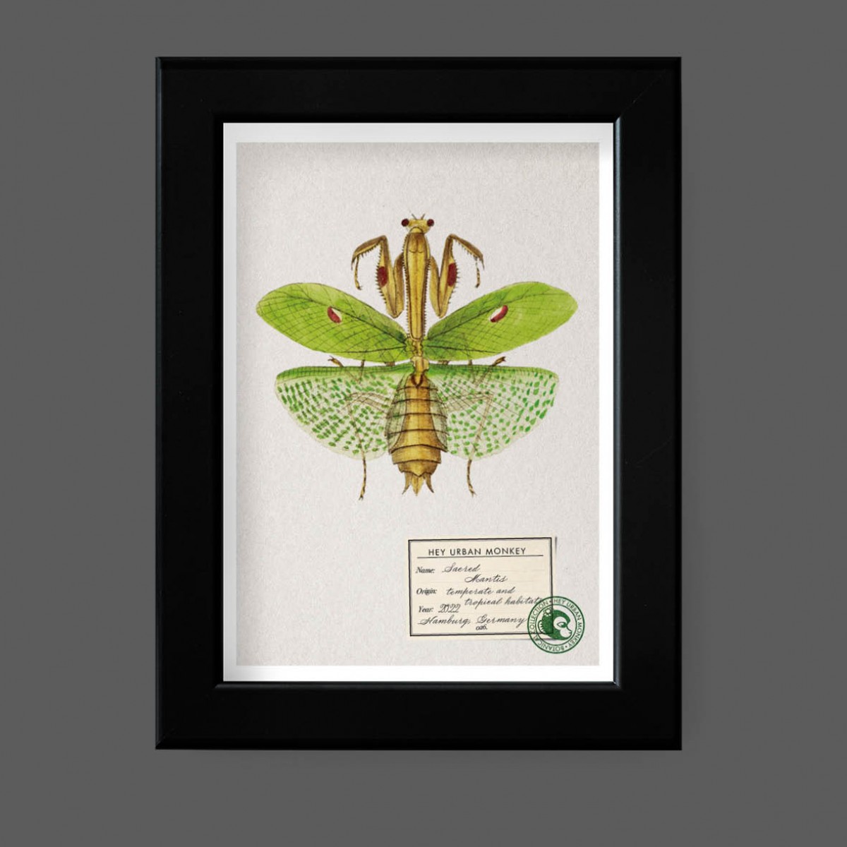 Hey Urban Monkey - A4 Poster - „Sacred Mantis“