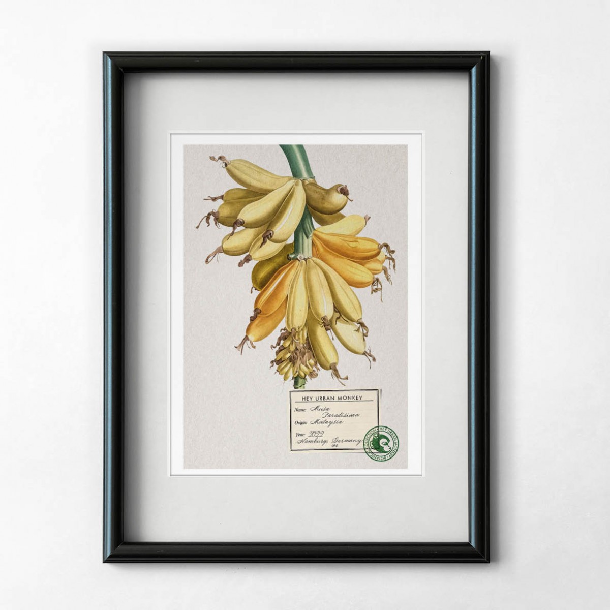 Hey Urban Monkey -A4 Poster - „Musa Paradisiaca“