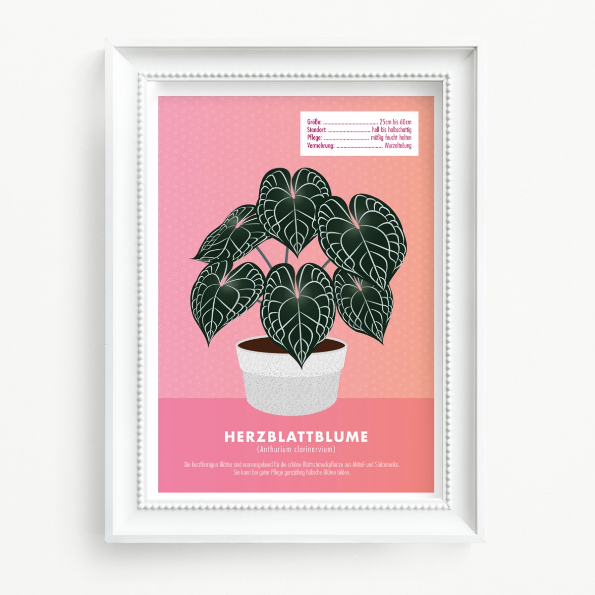 Hey Urban Monkey - A4 Poster - „Herzblattblume“