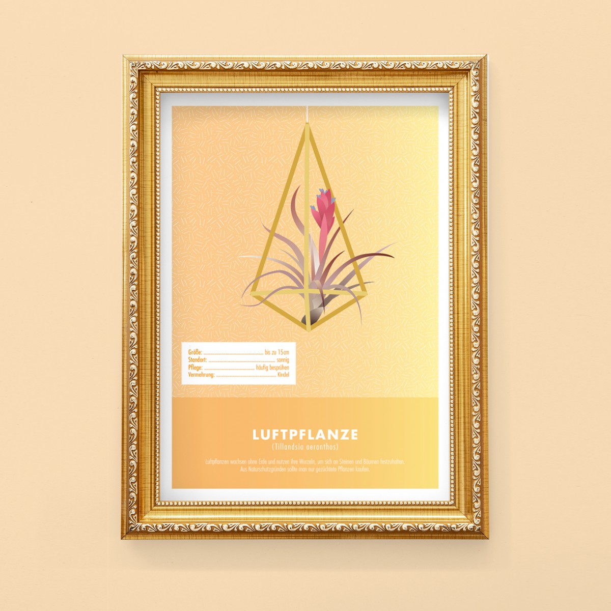 Hey Urban Monkey - A4 Poster - „Luftpflanze“