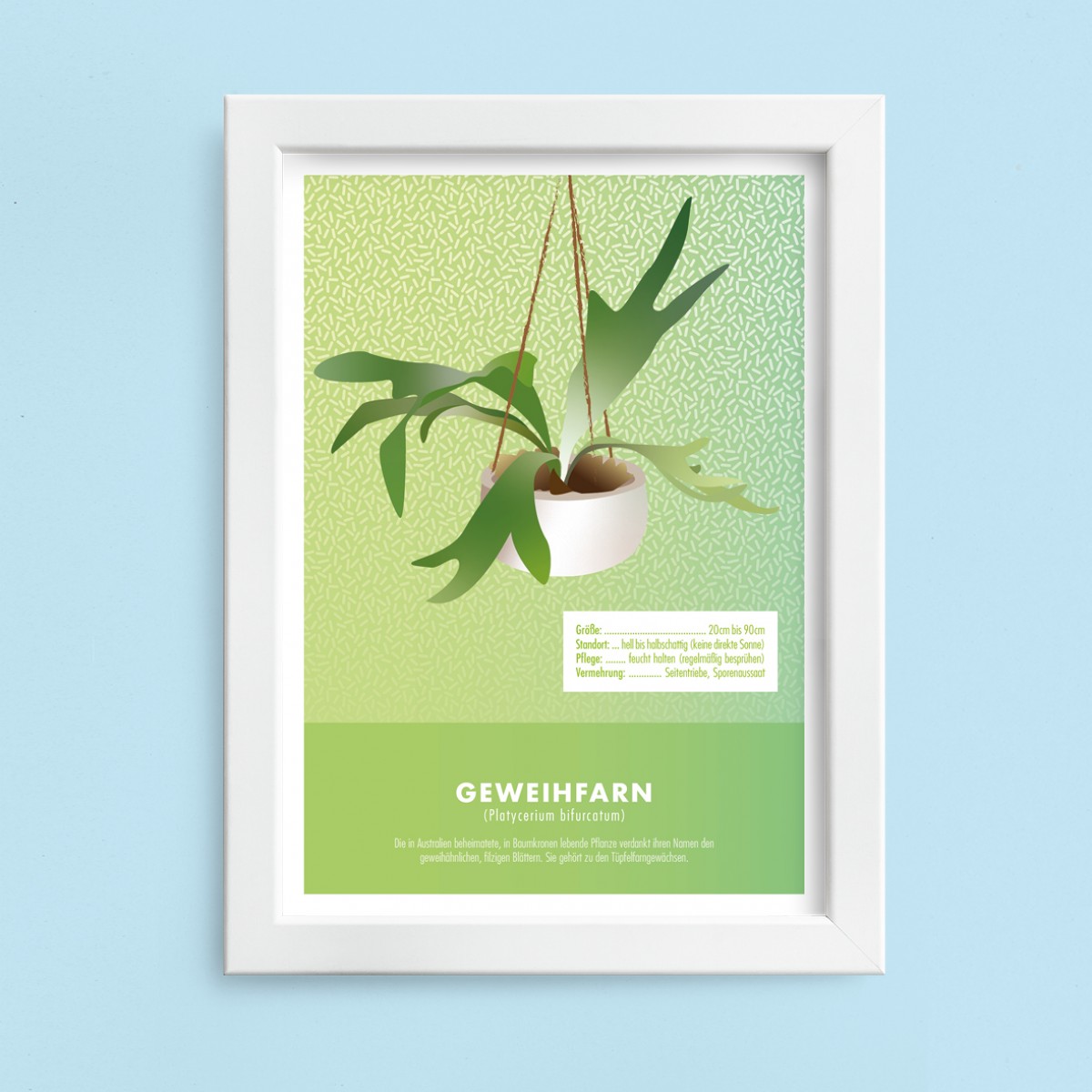 Hey Urban Monkey - A4 Poster - „Geweihfarn“