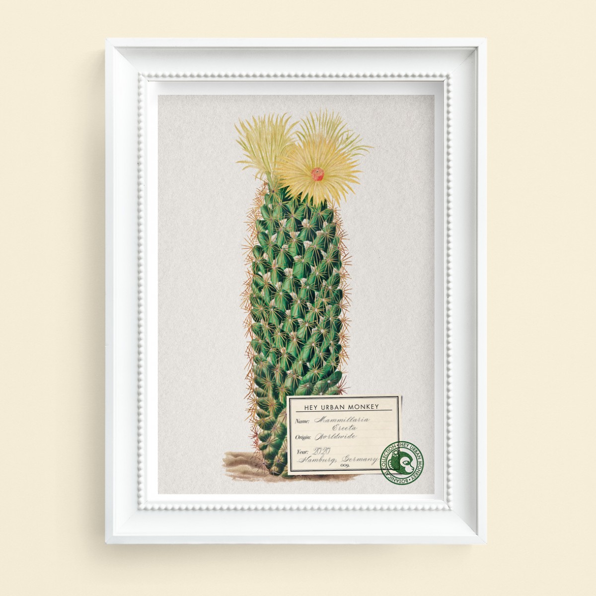 Hey Urban Monkey - A4 Poster - „Mammillaria Erecta“