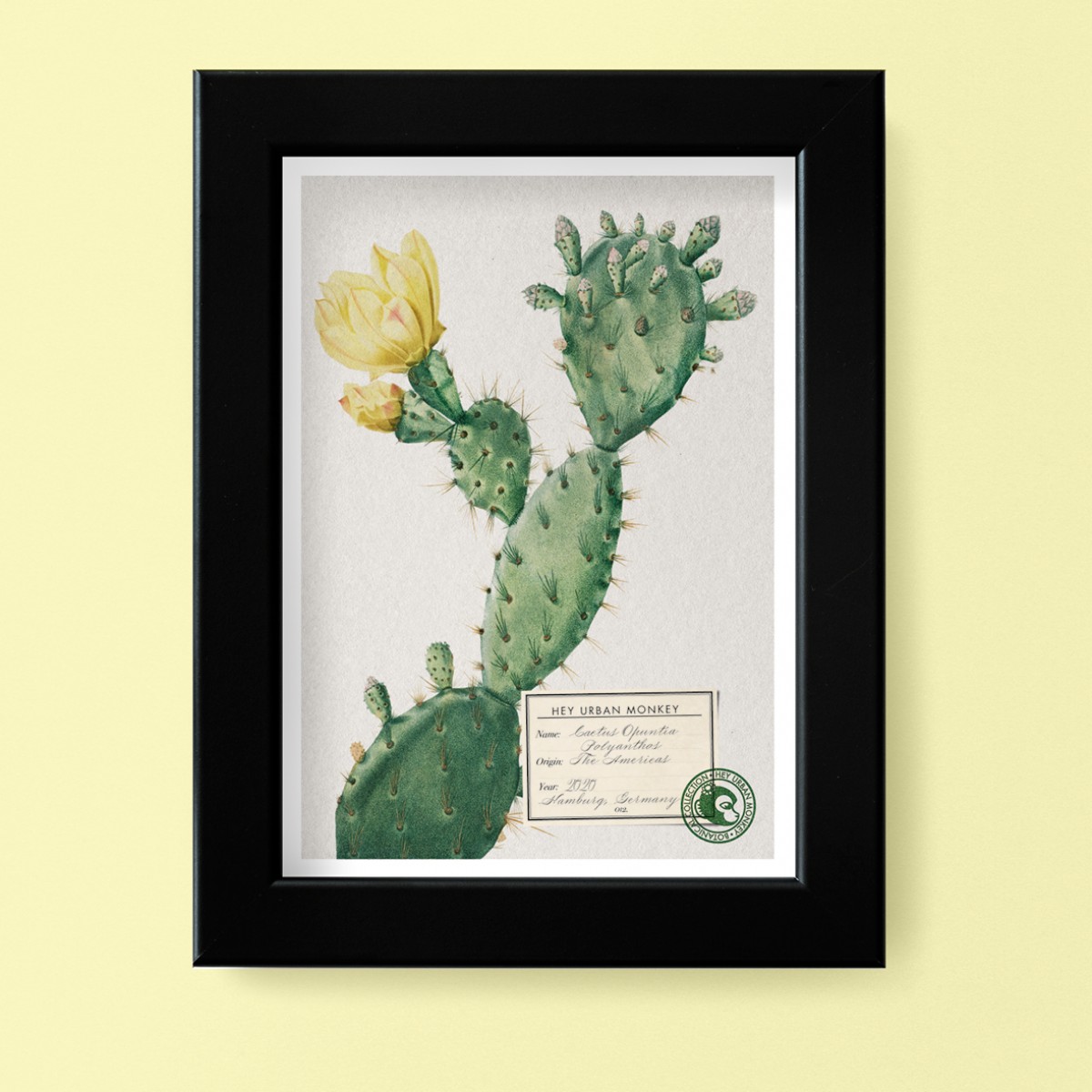 Hey Urban Monkey - A4 Poster - „Cactus Opuntia Polyanthos“