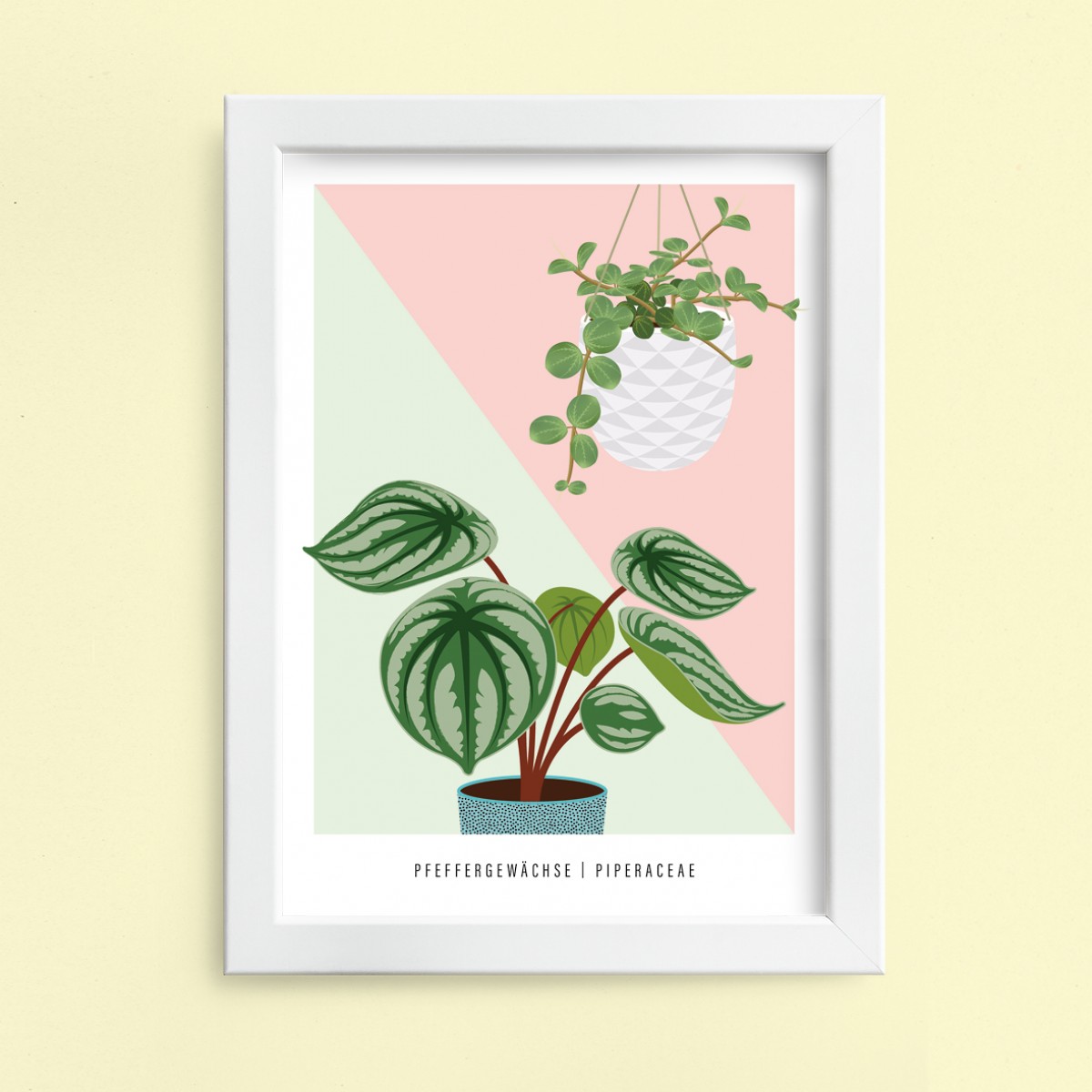 Hey Urban Monkey -
A4 Poster - „Pfeffergewächse“