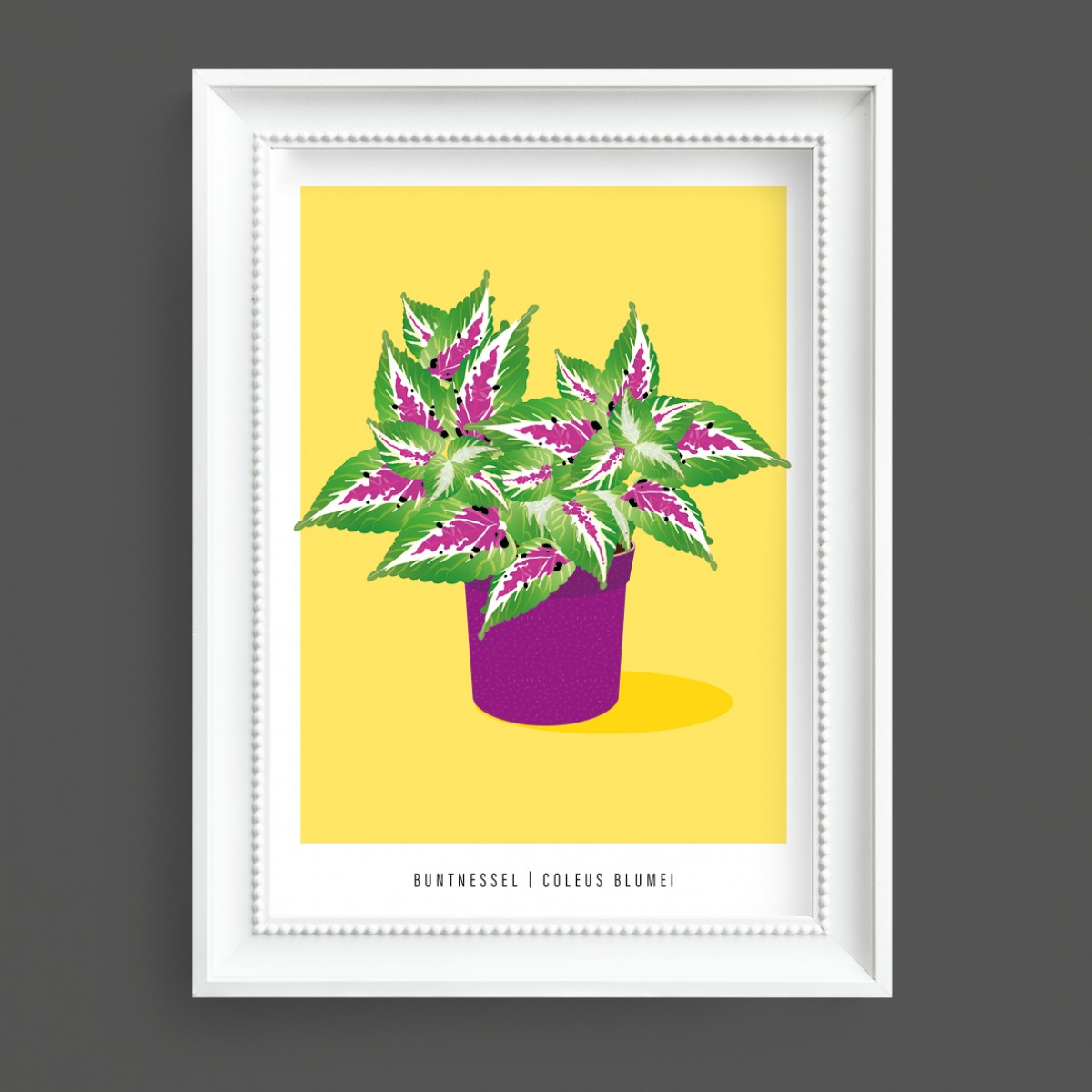 Hey Urban Monkey - A4 Poster - „Buntnessel“