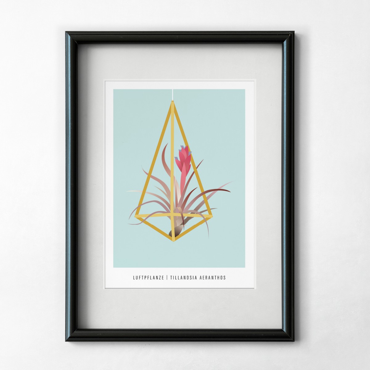Hey Urban Monkey - A4 Poster - „Luftpflanze“