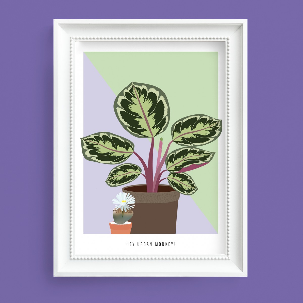 Hey Urban Monkey - A4 Poster - „Calathea Medaillon/Lebender Stein“