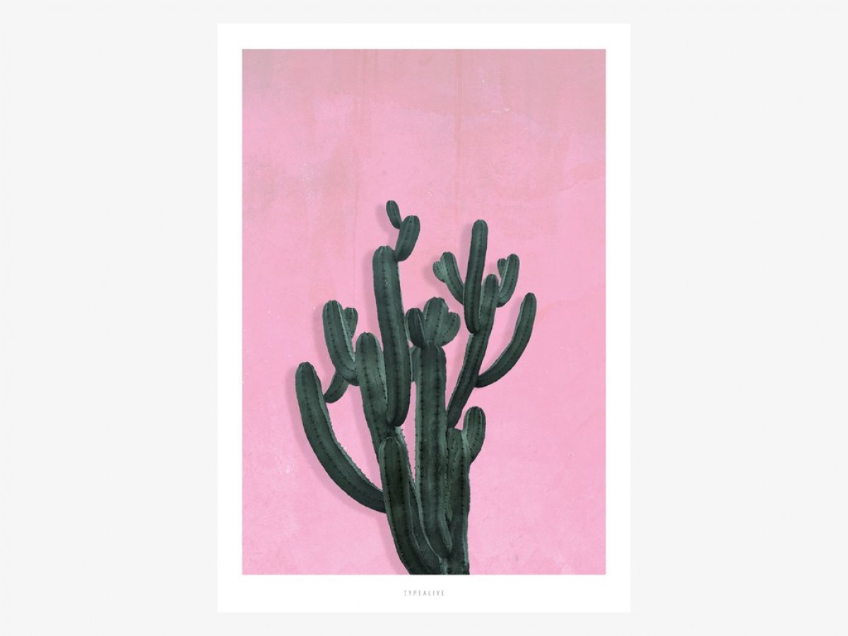 typealive / Kaktus No. 2