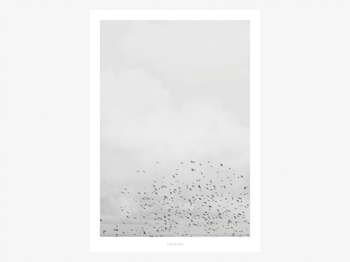 typealive / Landscape No. 41