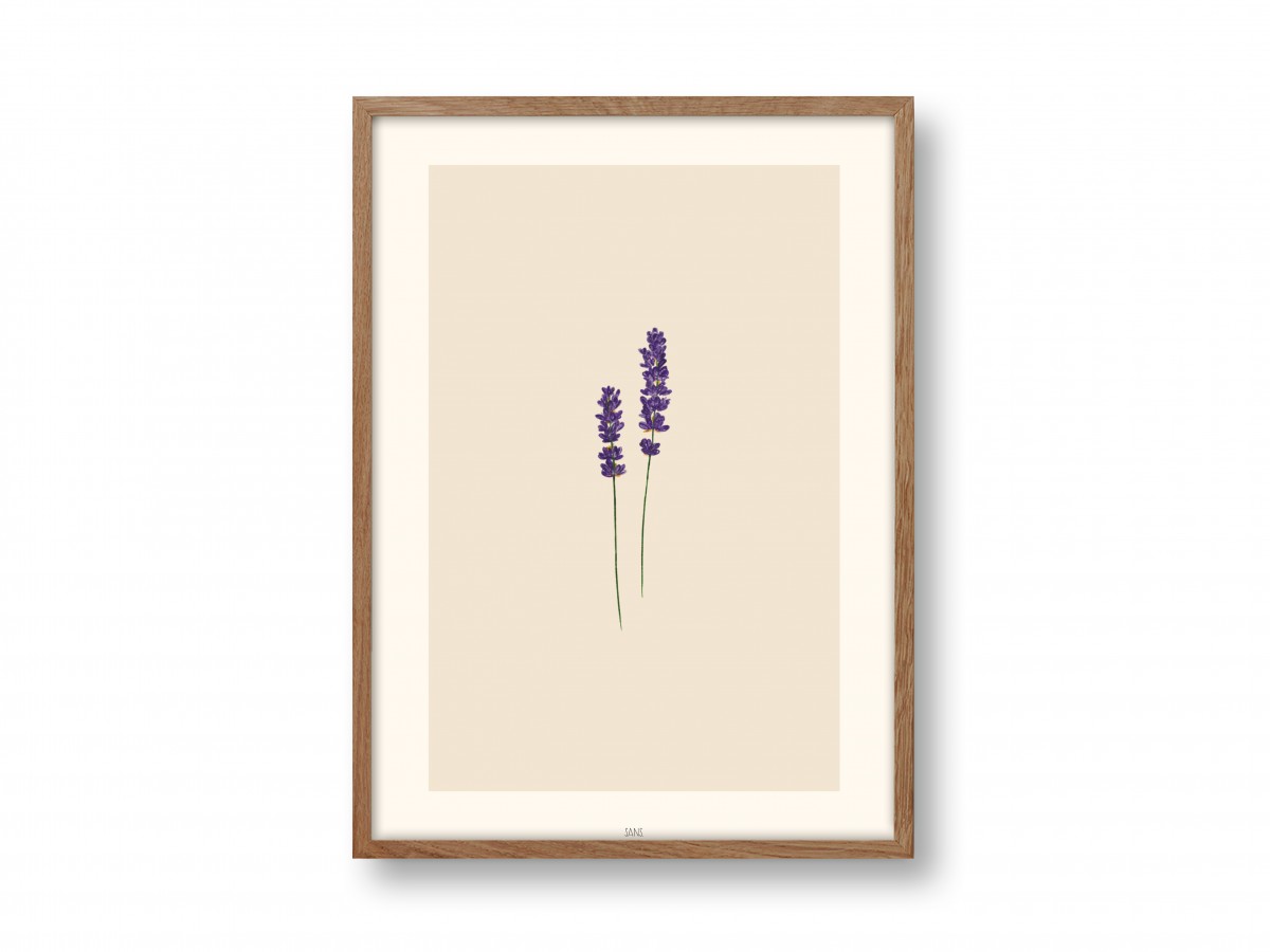 Poster A4 - Lavendel - SANS.