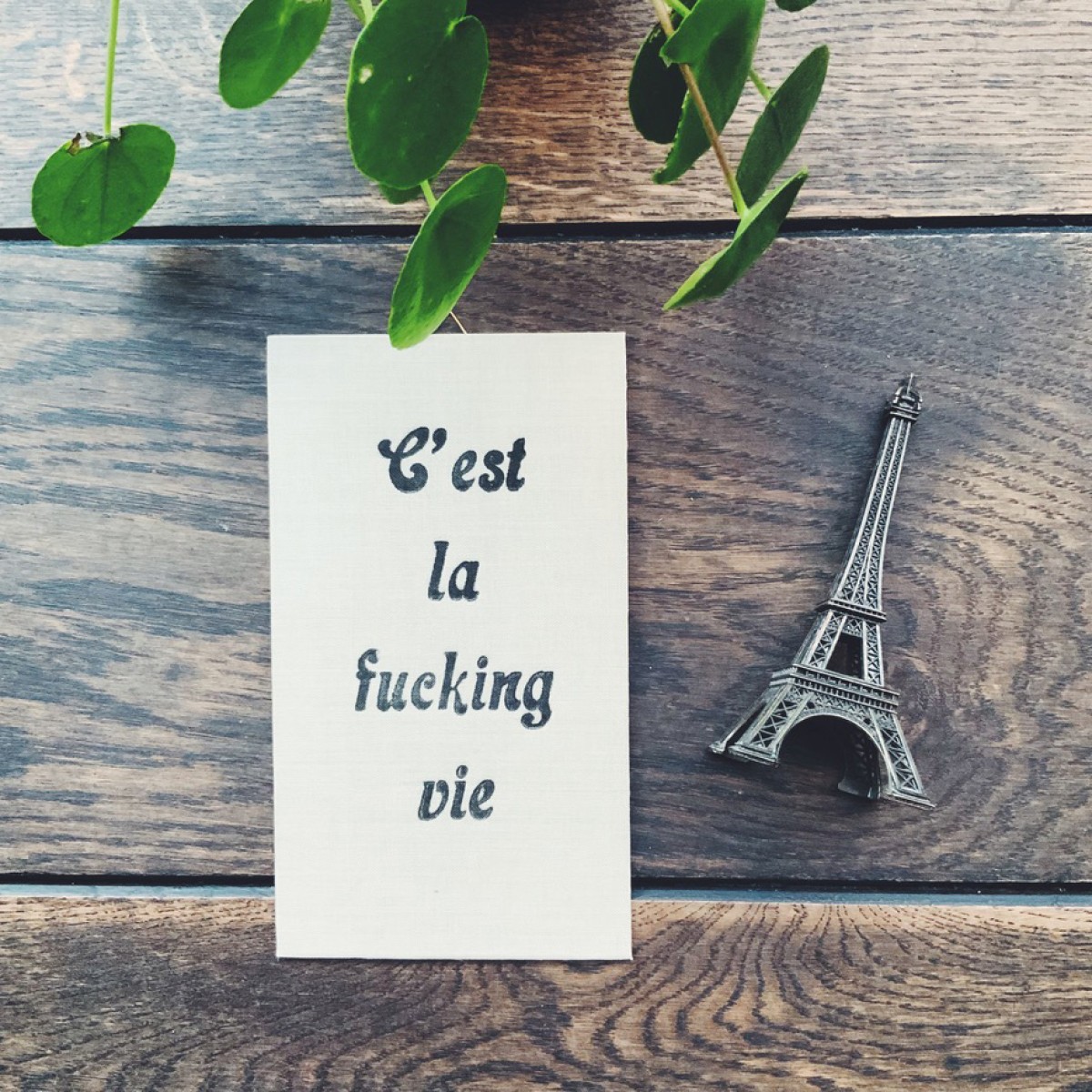 C'est la fucking vie
Letterpress von papelami
