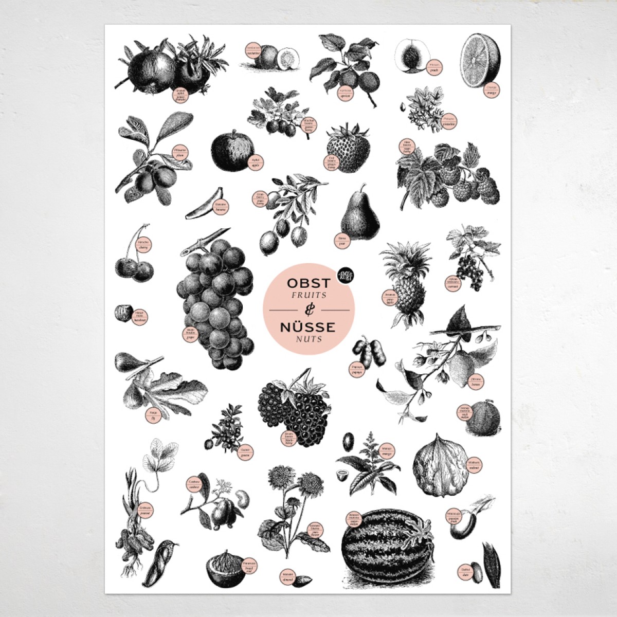 Amy & Kurt Berlin A2 Plakat "Obst & Nüsse"
