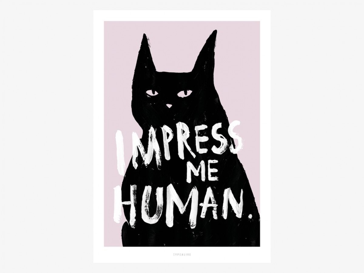 typealive / Impress Me