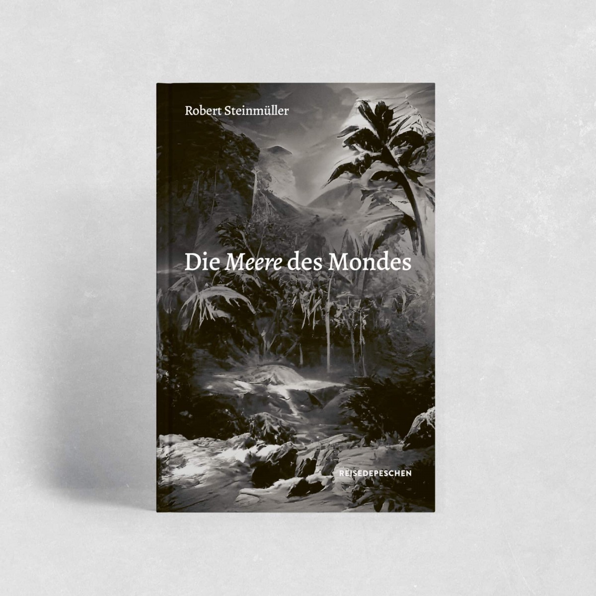 DIE MEERE DES MONDES von Robert Steinmüller