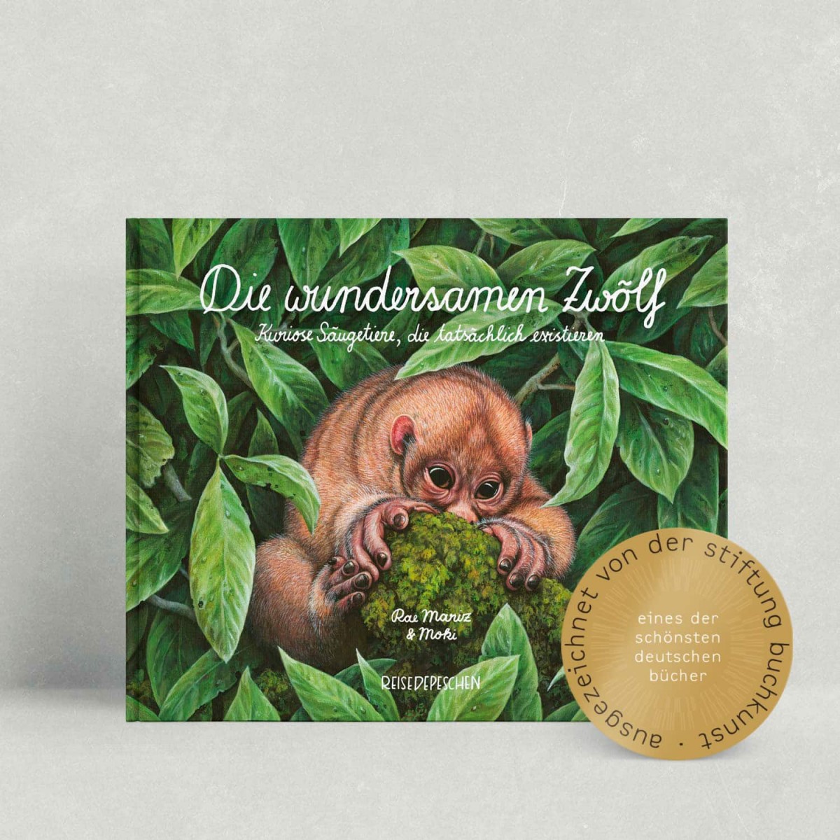 DIE WUNDERSAMEN ZWÖLF von Moki und Rae Mariz