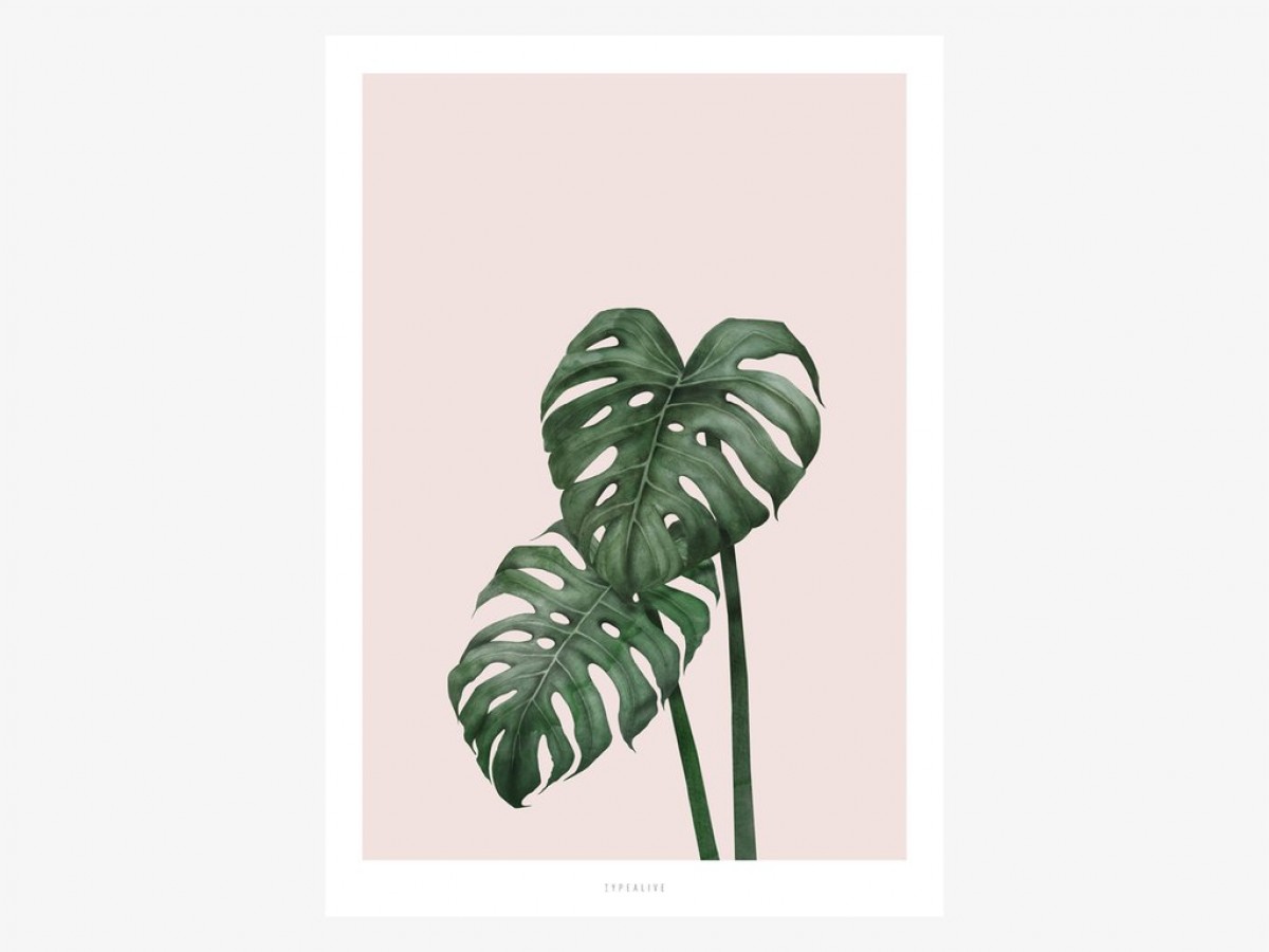 typealive / Tropical No. 9