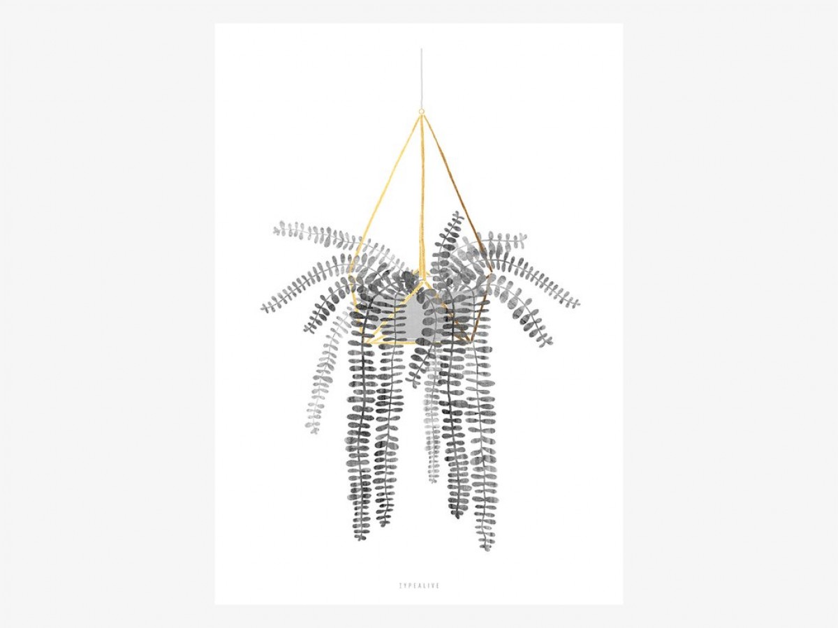 typealive / Urban Jungle No. 1