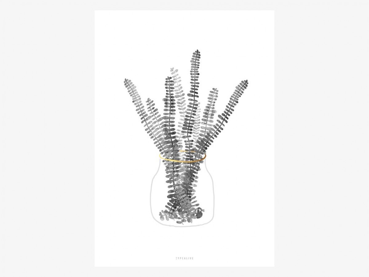typealive / Urban Jungle No. 3