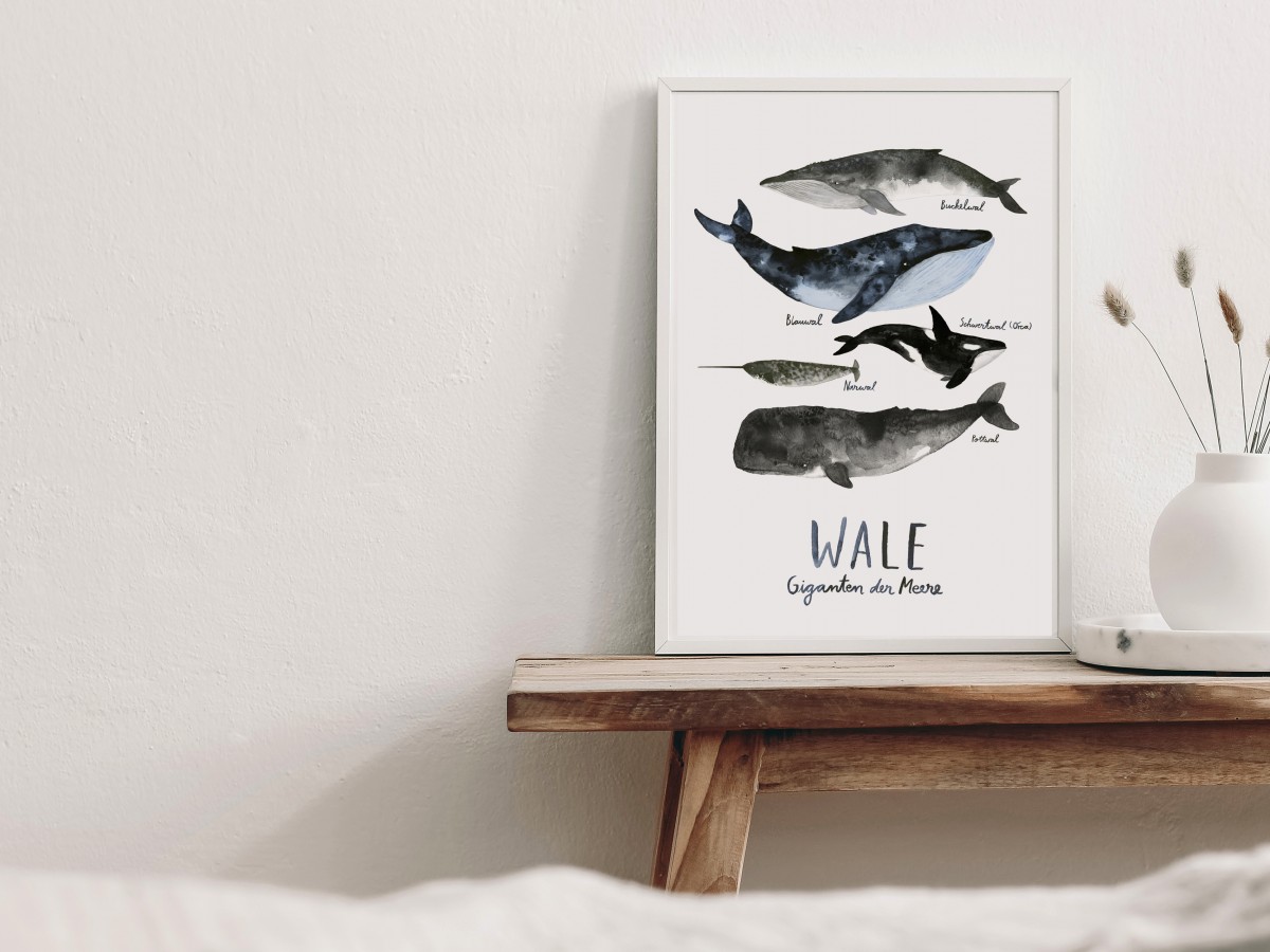 typealive / Print / Wale