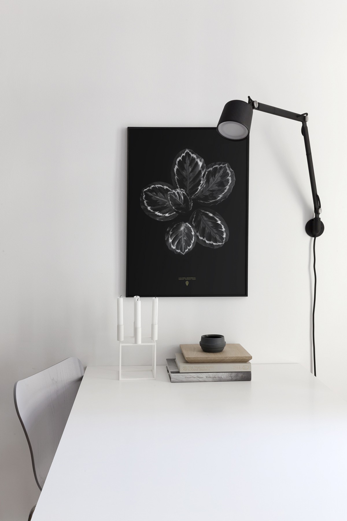 Coco Lapine Design Calathea Roseopicta
