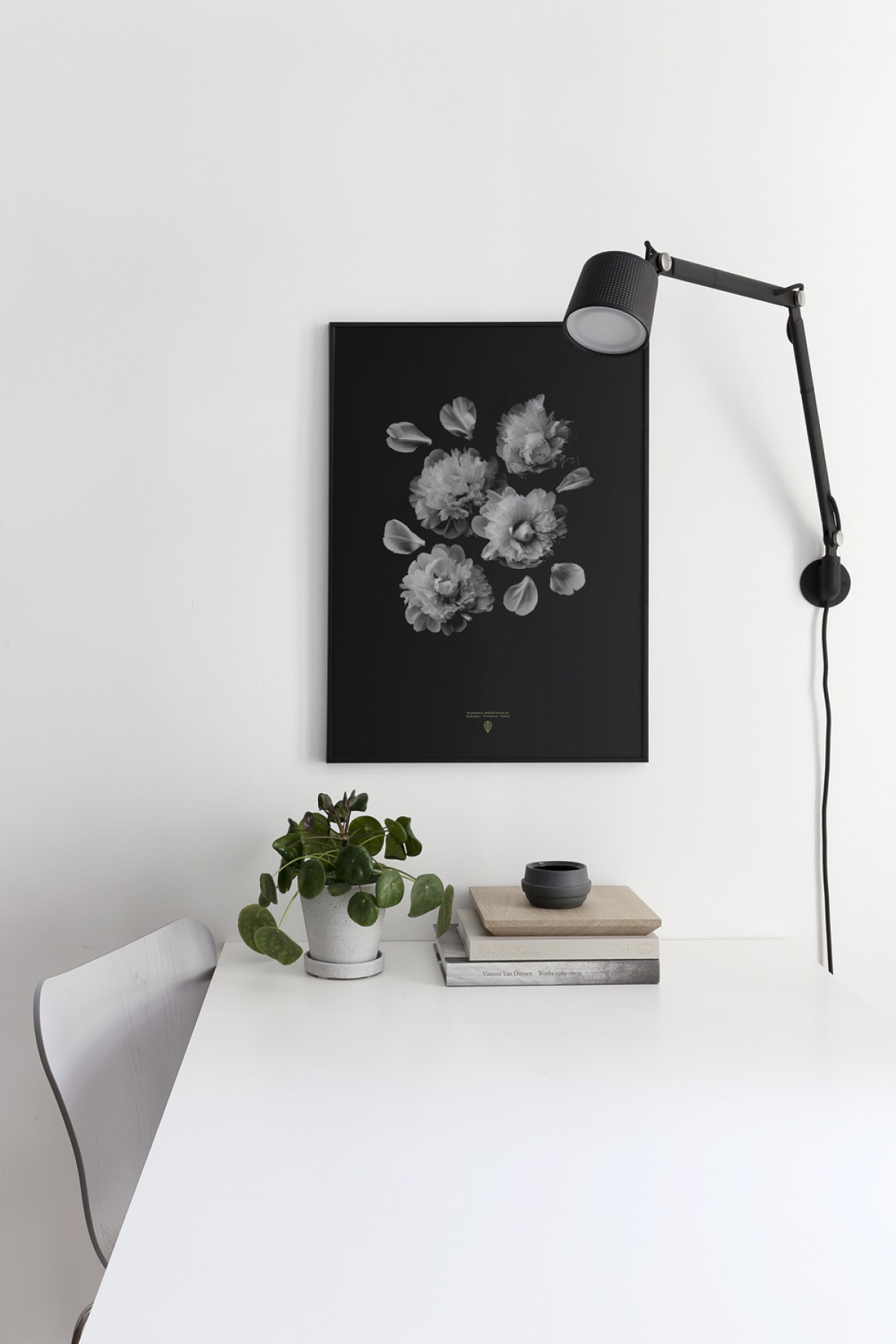 Coco Lapine Design Paeonia Officinalis
