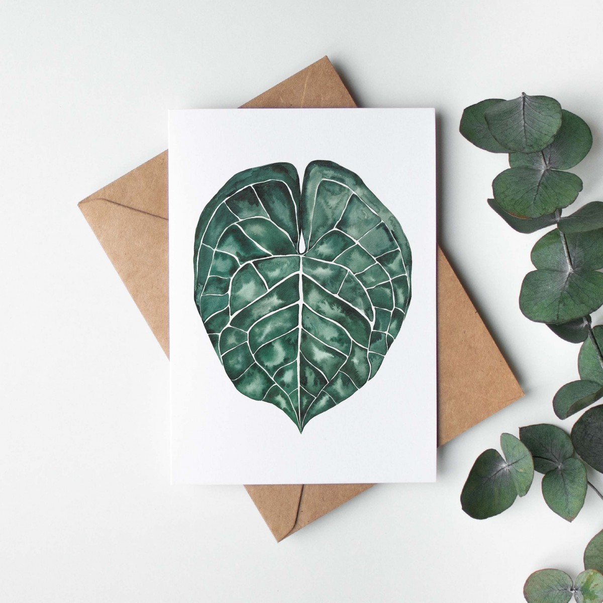 Paperlandscape | Grußkarte | Anthurium Clarinervium Blatt | botanisch