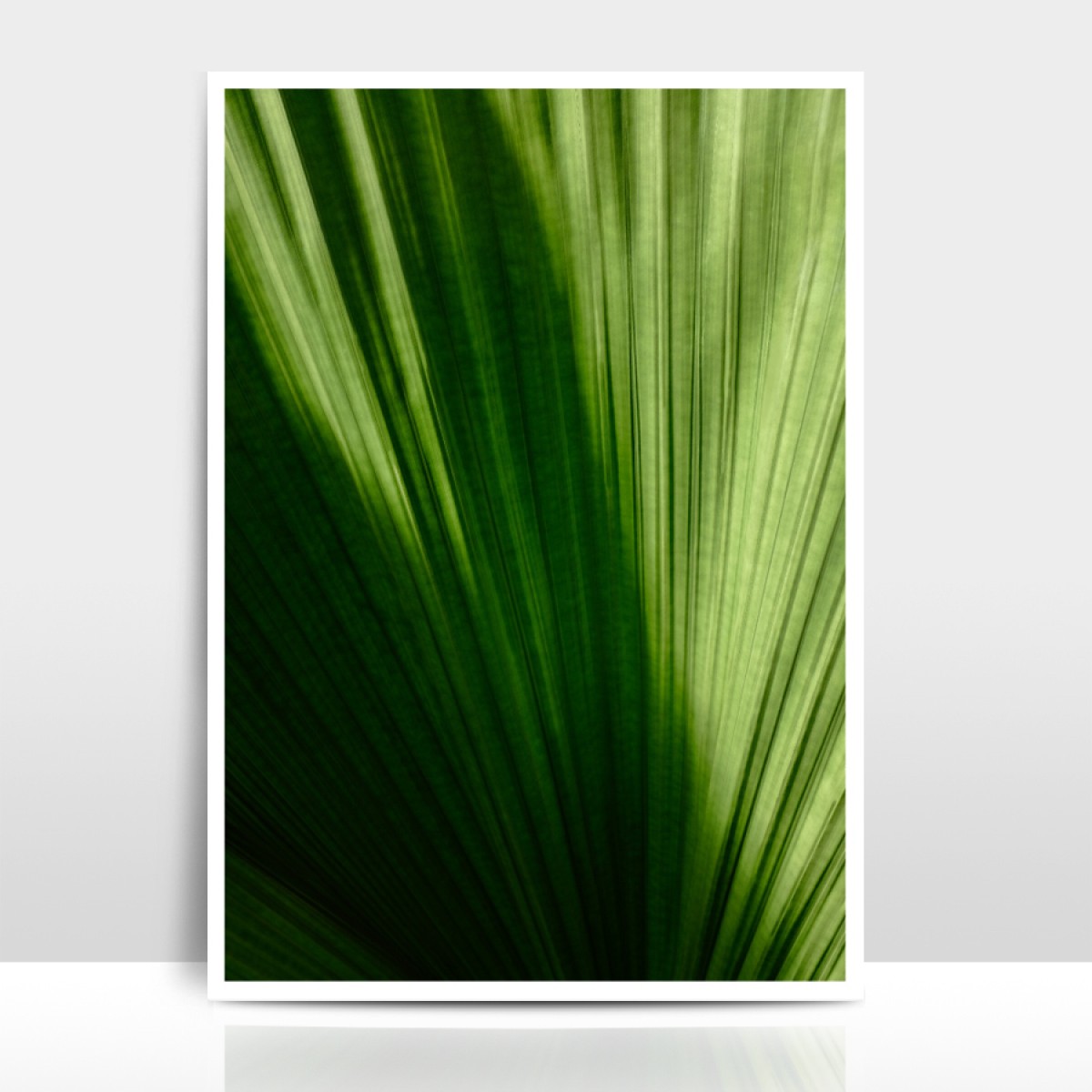 Amy & Kurt Berlin A3 Artprint "Palmenblatt"